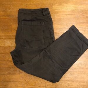 Pilcro Dark Brown Pants